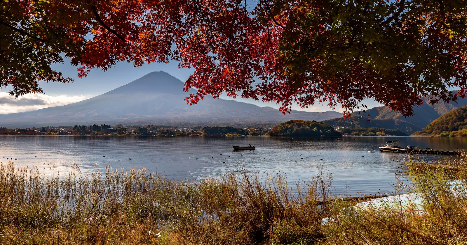 日本11月活動|祭典與花火