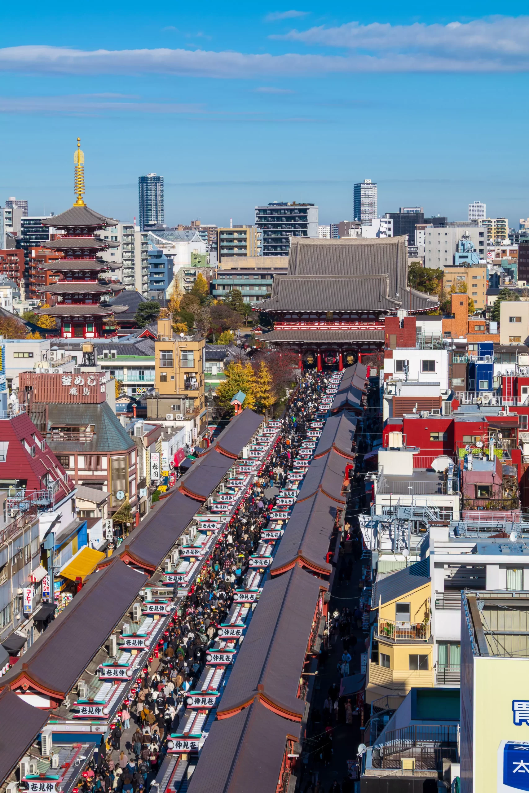 日本12月活動|祭典與花火