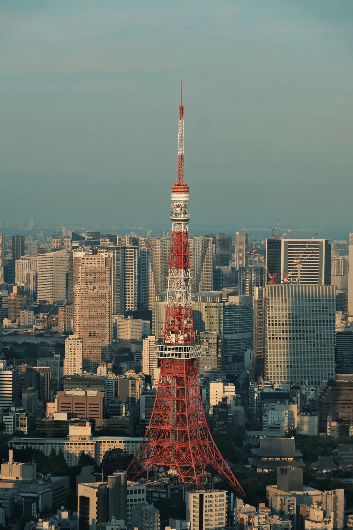 日本一天多少流量-一天各種使用的流量佔比