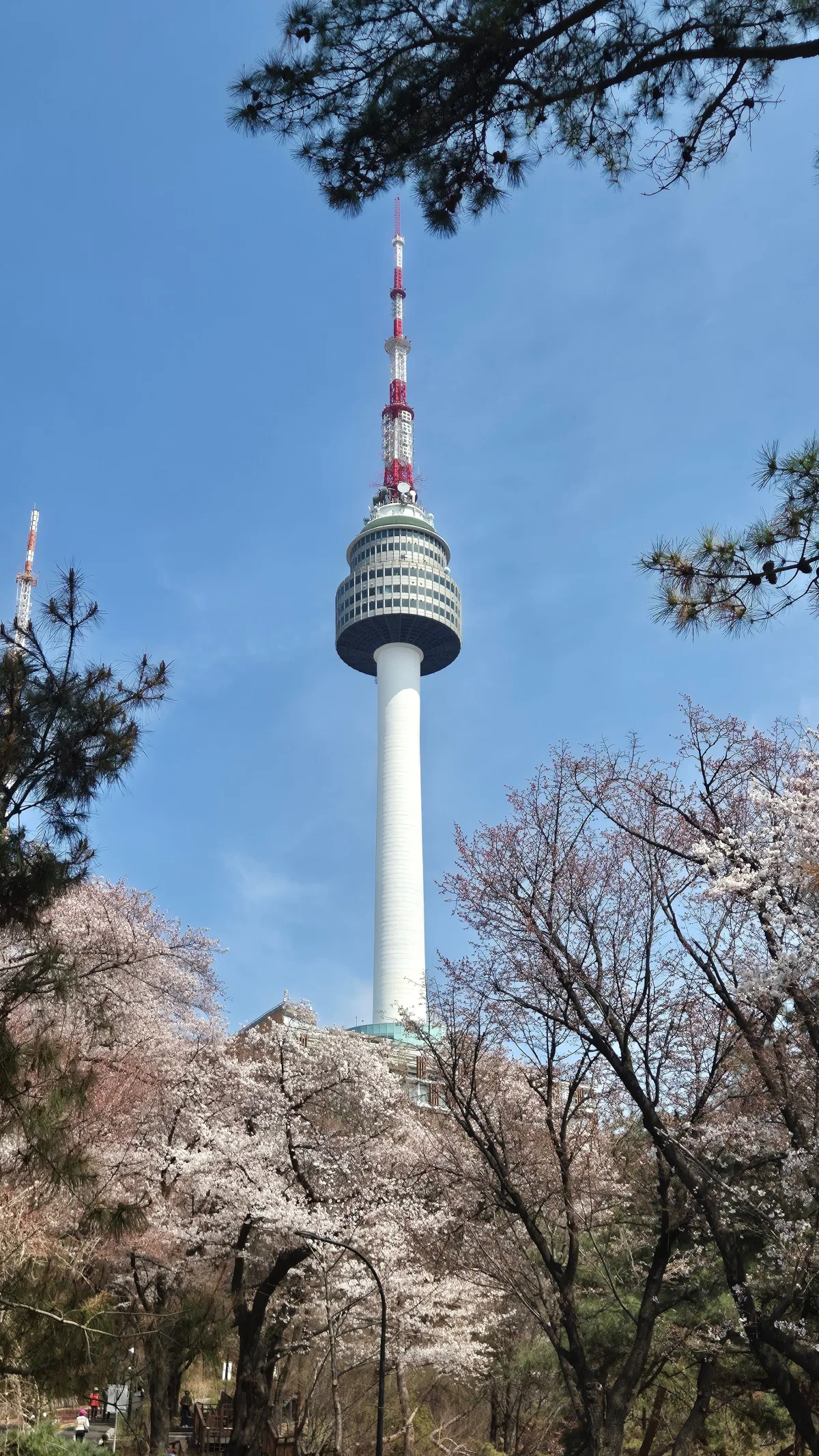 日本eSIM流量-一日旅程的流量使用情境(導航/拍照上傳/查資料)
