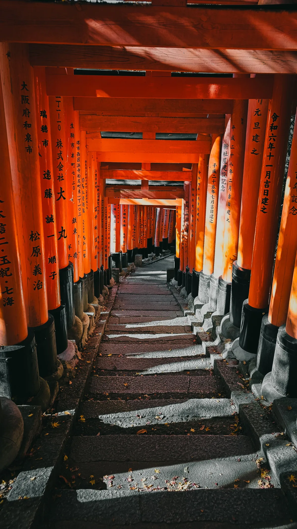 日本eSIM吃到飽-降速後能做什麼的圖解
